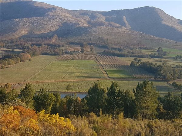 45.5 ha Farm