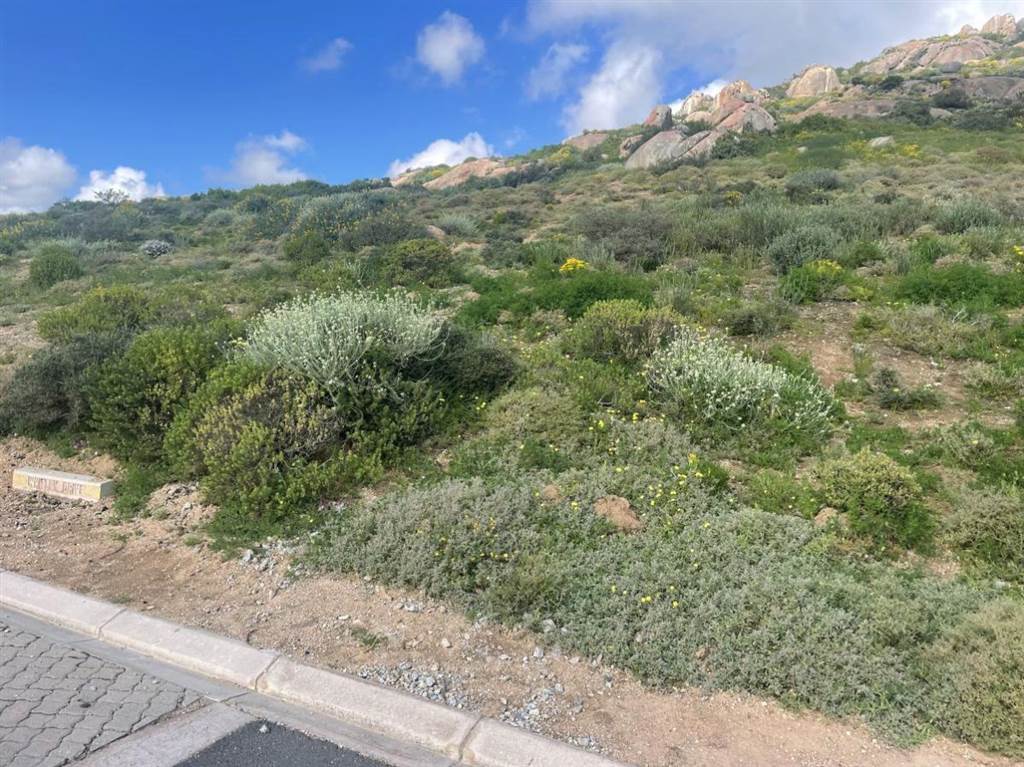 497 m² Land available in St Helena Views photo number 5