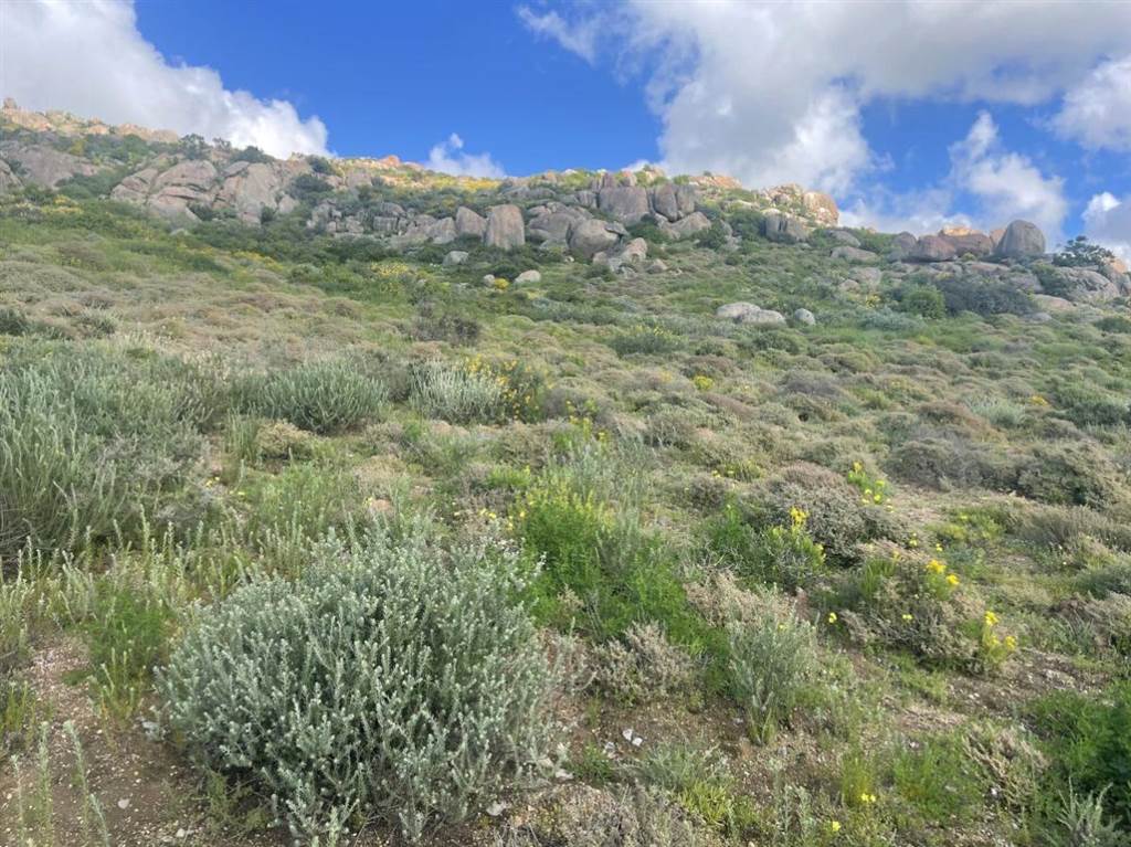 497 m² Land available in St Helena Views photo number 8