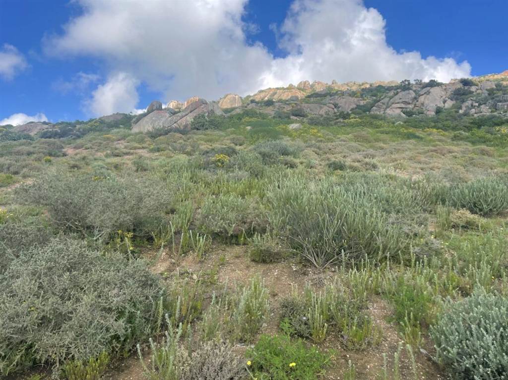 497 m² Land available in St Helena Views photo number 7