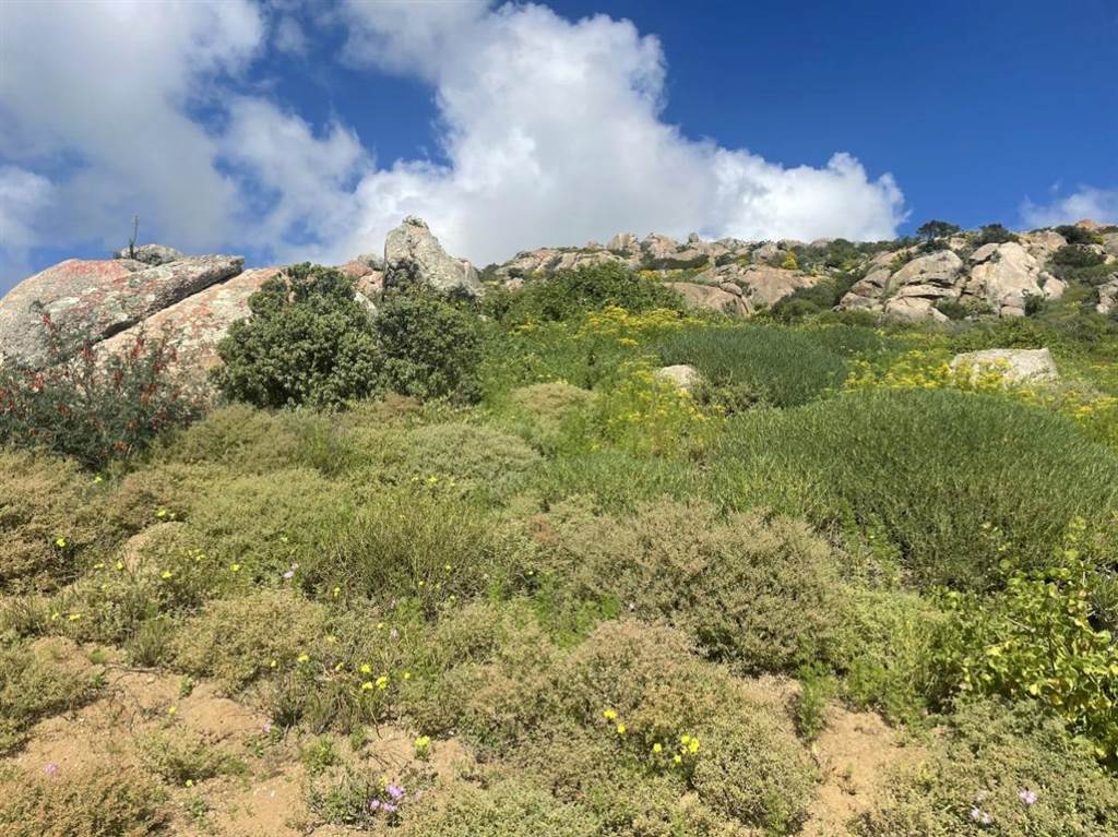 497 m² Land available in St Helena Views photo number 2