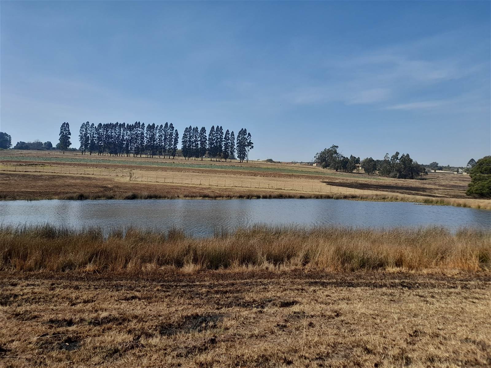 18 ha Farm in Piet Retief photo number 7