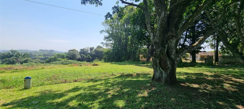 4008 m² Land available in Eshowe photo number 7