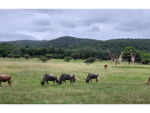 600 m² Land 600 m² Land