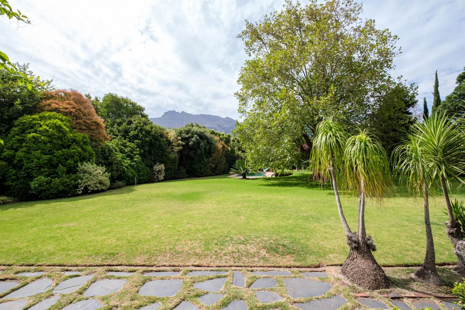 5 Bed House in Constantia photo number 6