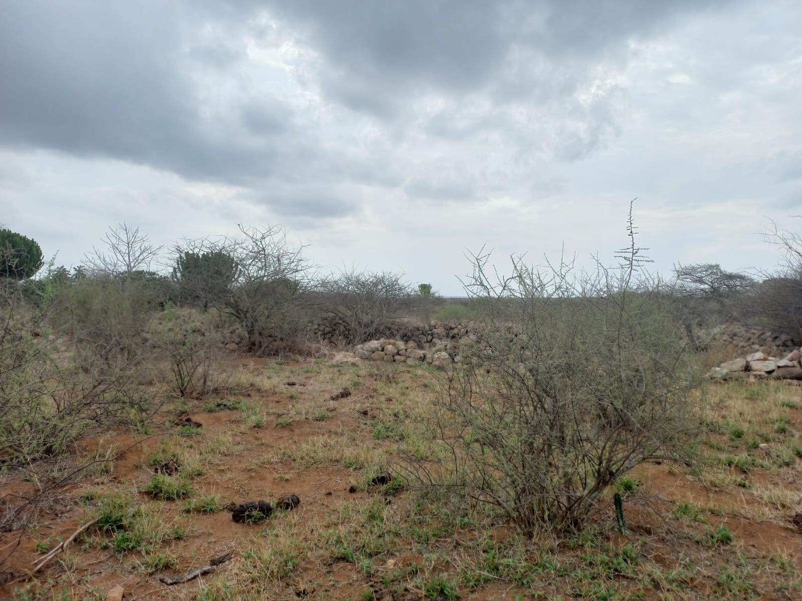 383 ha Land available in Louis Trichardt photo number 6