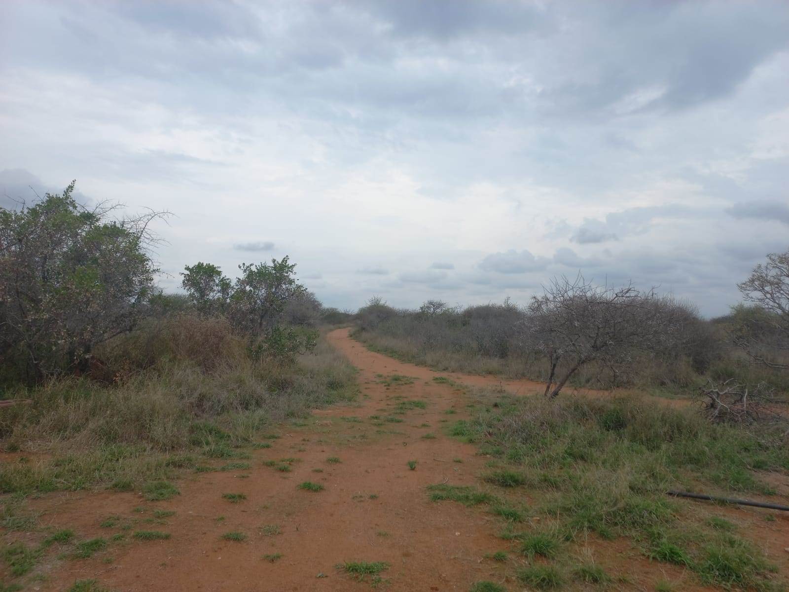 383 ha Land available in Louis Trichardt photo number 18