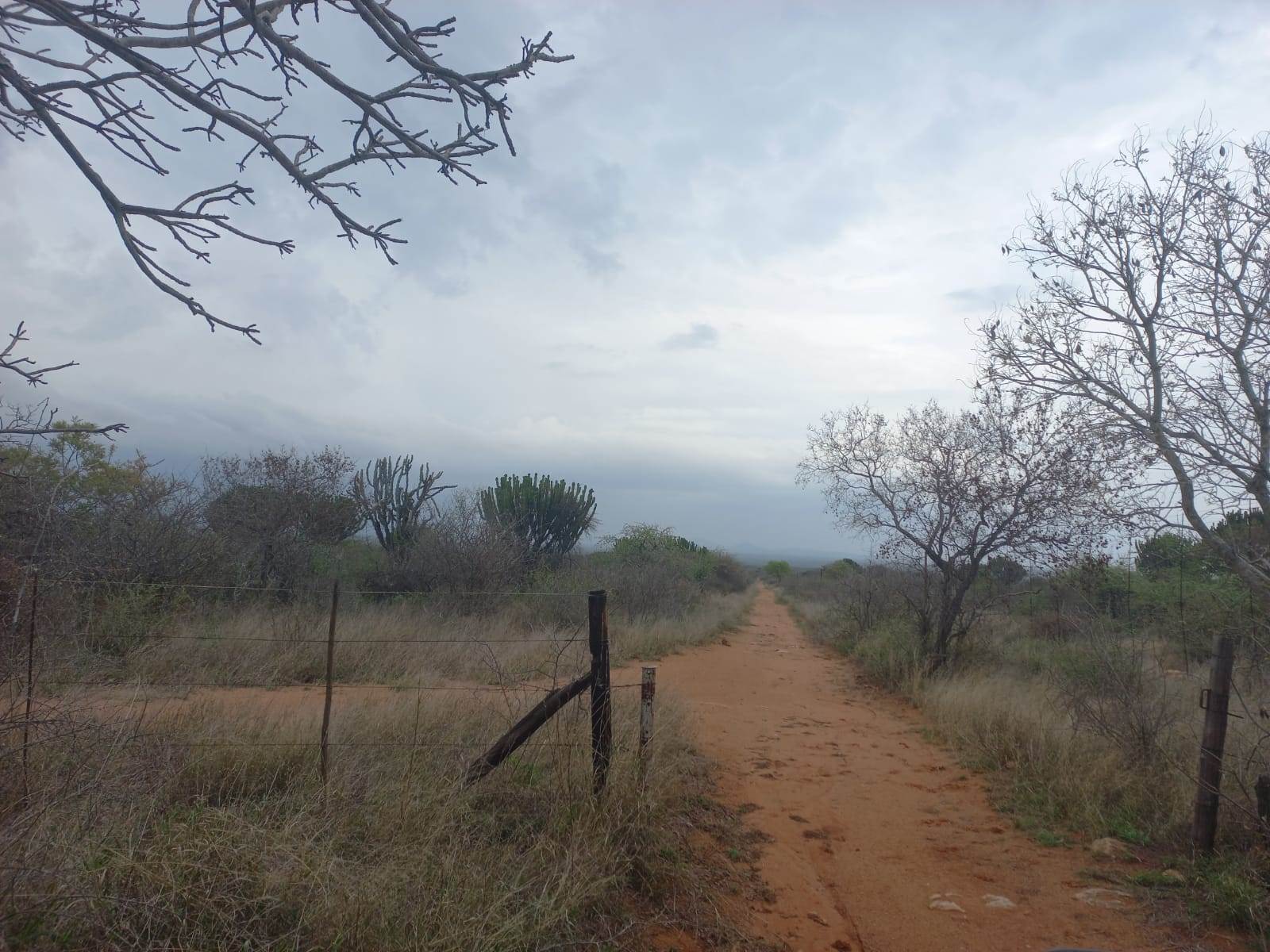 383 ha Land available in Louis Trichardt photo number 21