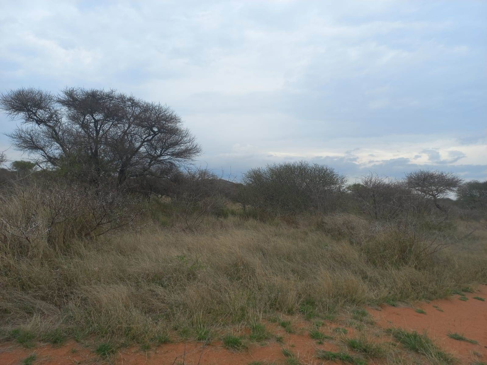 383 ha Land available in Louis Trichardt photo number 14