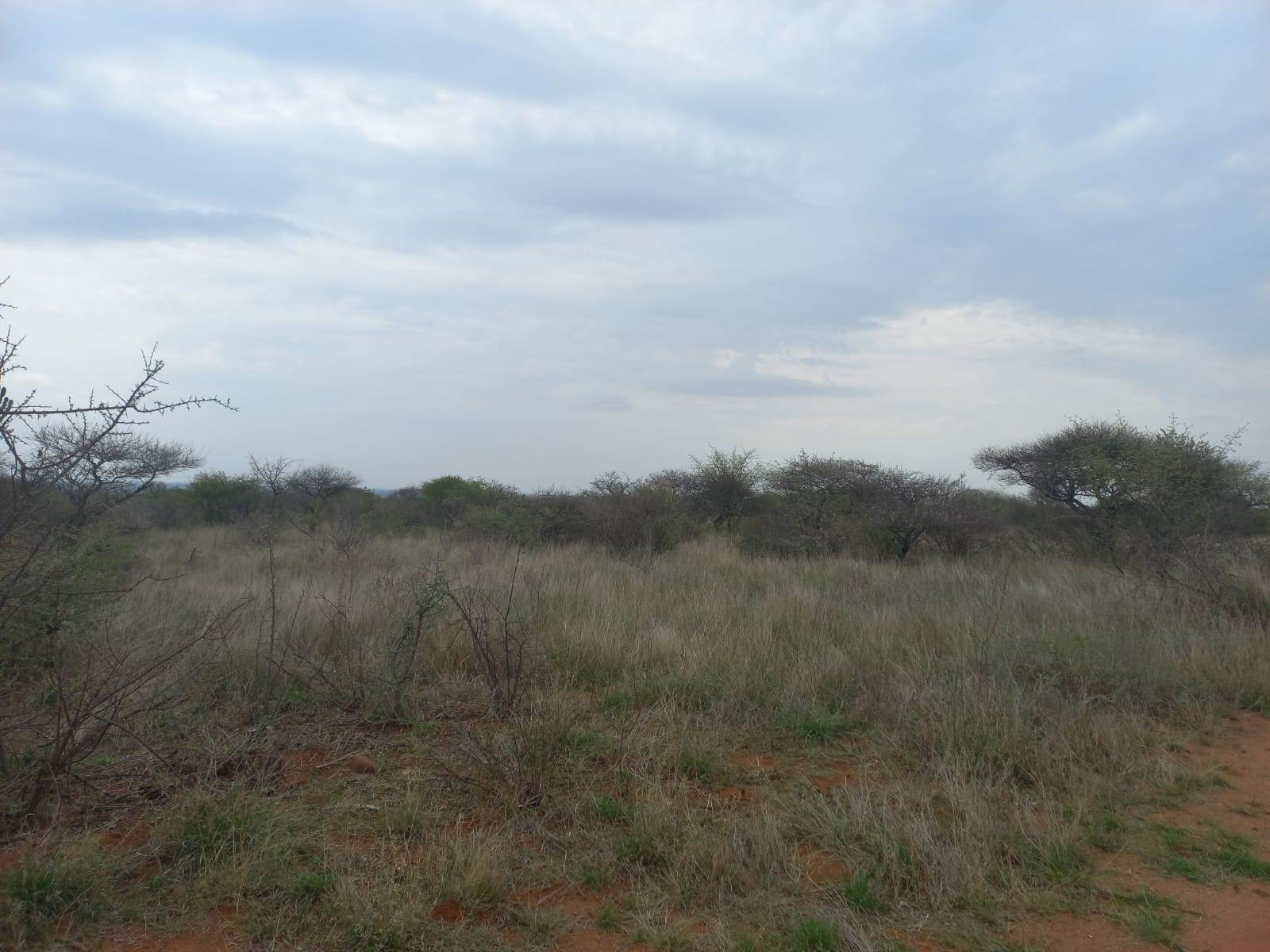 383 ha Land available in Louis Trichardt photo number 15