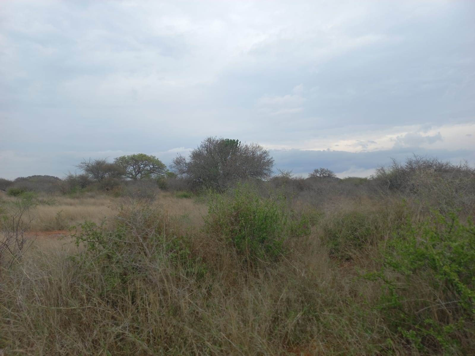 383 ha Land available in Louis Trichardt photo number 16