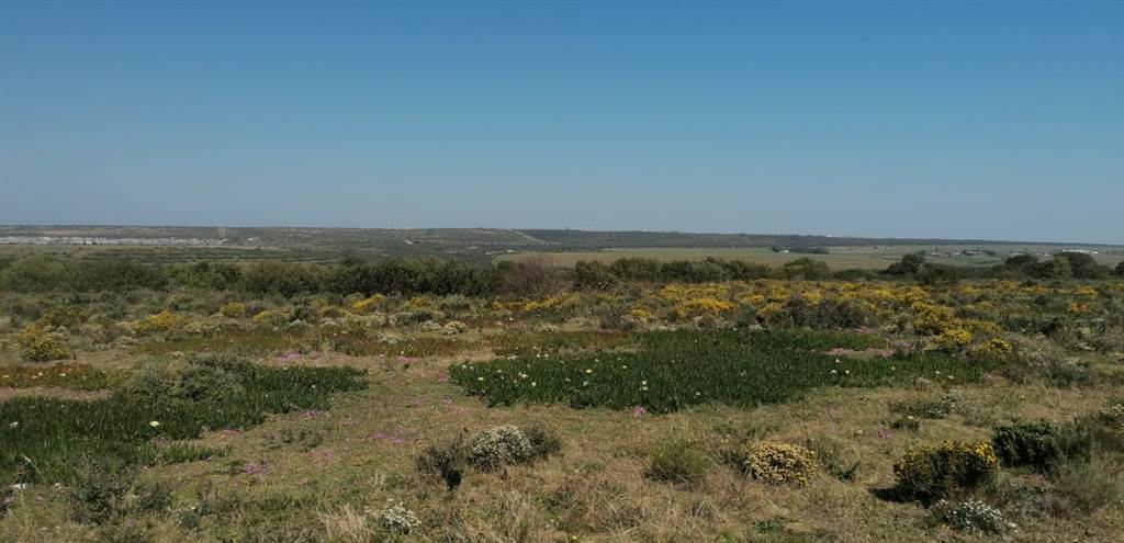 27 ha Land available in Aalwyndal photo number 4