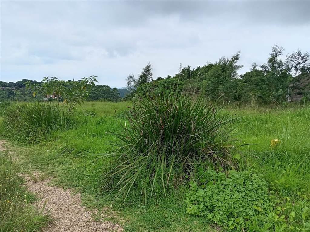 830 m² Land available in Forest Hills photo number 8