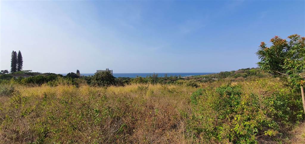 731 m² Land available in Sea Park photo number 11