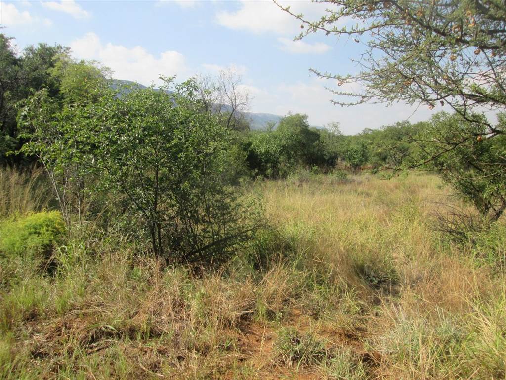 24 ha Land available in Rietfontein AH photo number 5