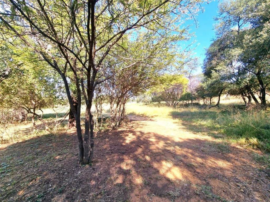 1731 m² Land available in Koro Creek Golf Estate photo number 14