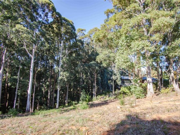 1 794 m² Land 1 794 m² Land