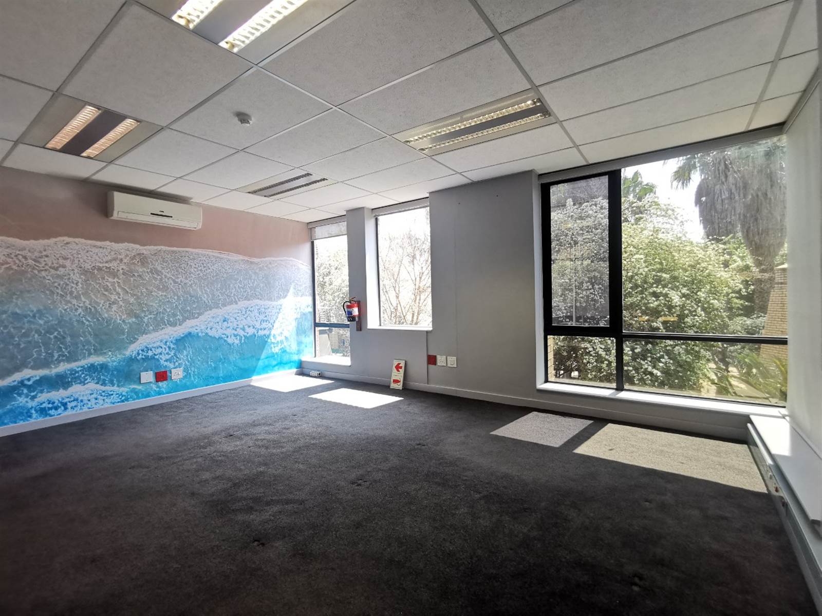 723  m² Office Space in Constantia Kloof photo number 5