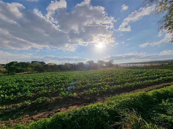 8.6 ha Farm 8.6 ha Farm
