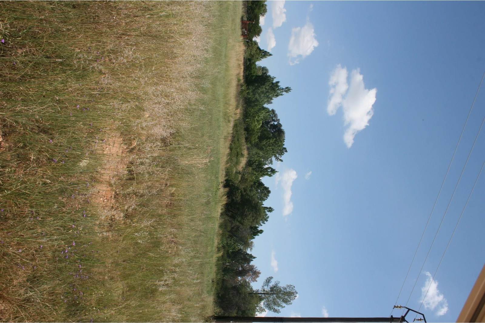 2 ha Land available in Nooitgedacht photo number 5