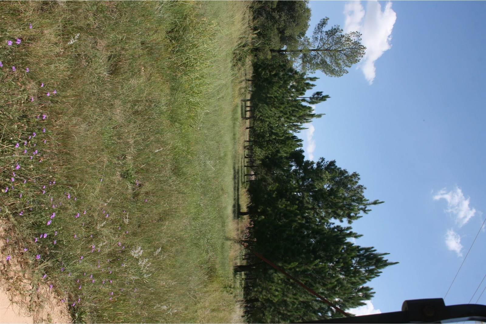 2 ha Land available in Nooitgedacht photo number 6