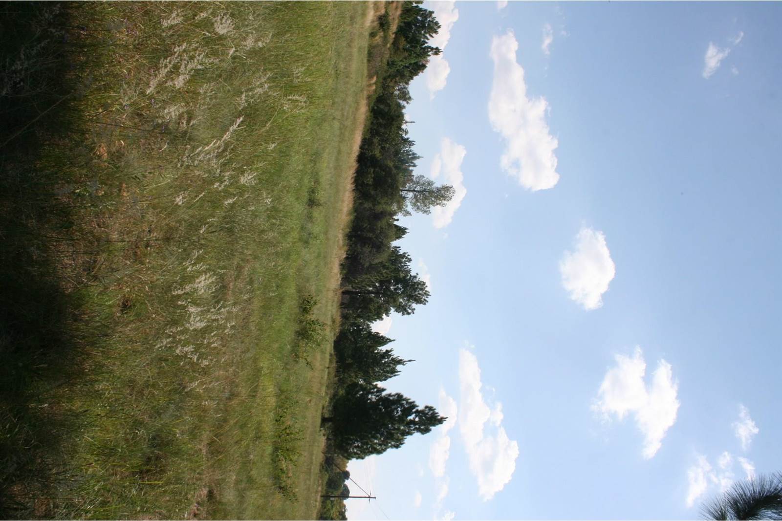 2 ha Land available in Nooitgedacht photo number 4