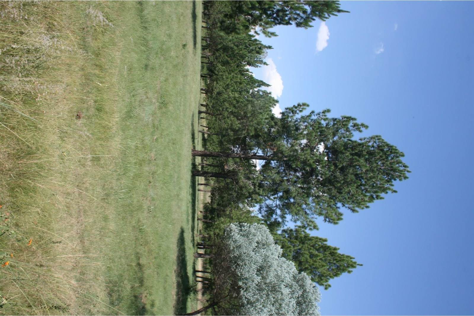 2 ha Land available in Nooitgedacht photo number 8