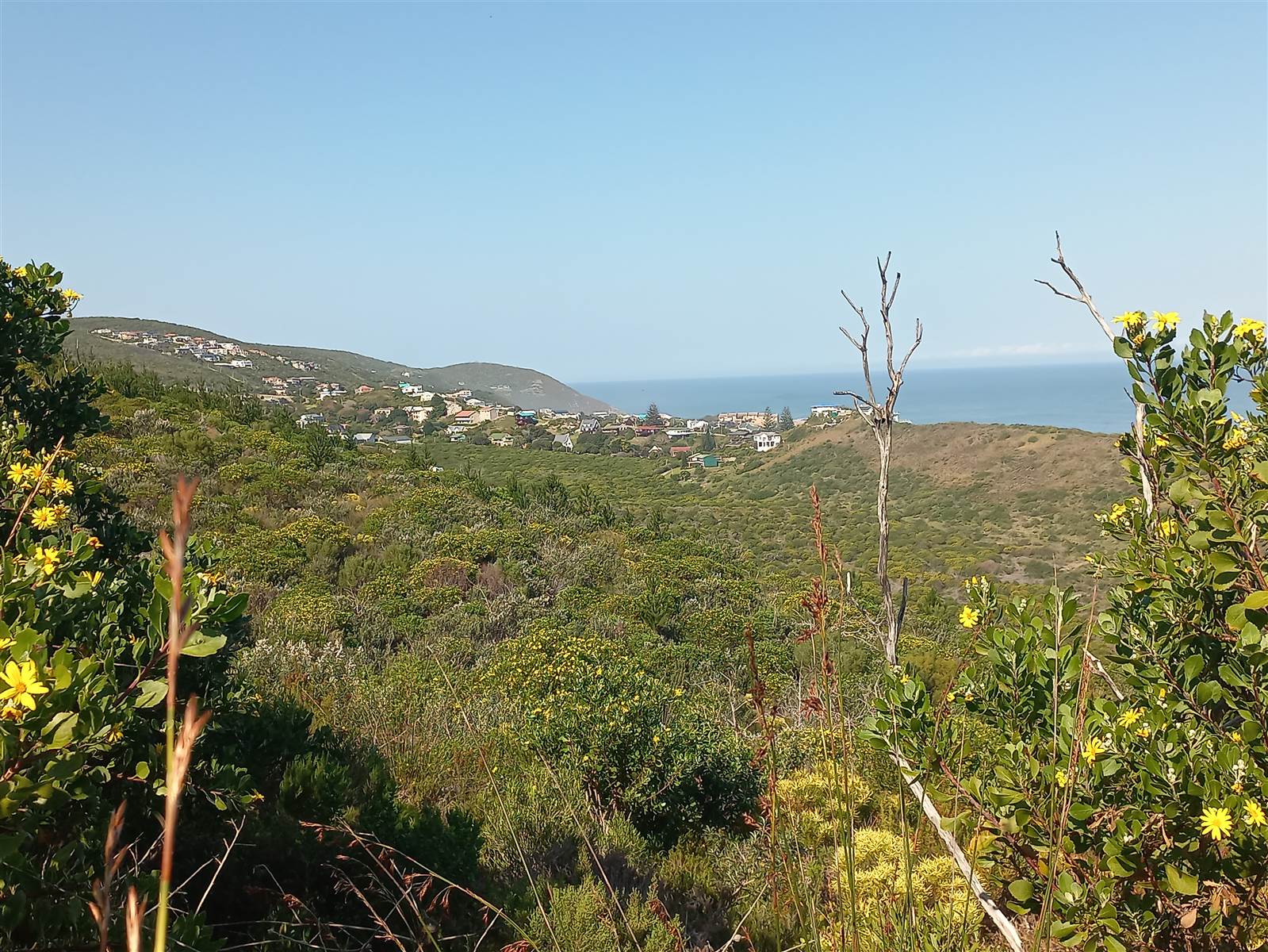 21.2 ha Land available in Brenton on Sea photo number 3