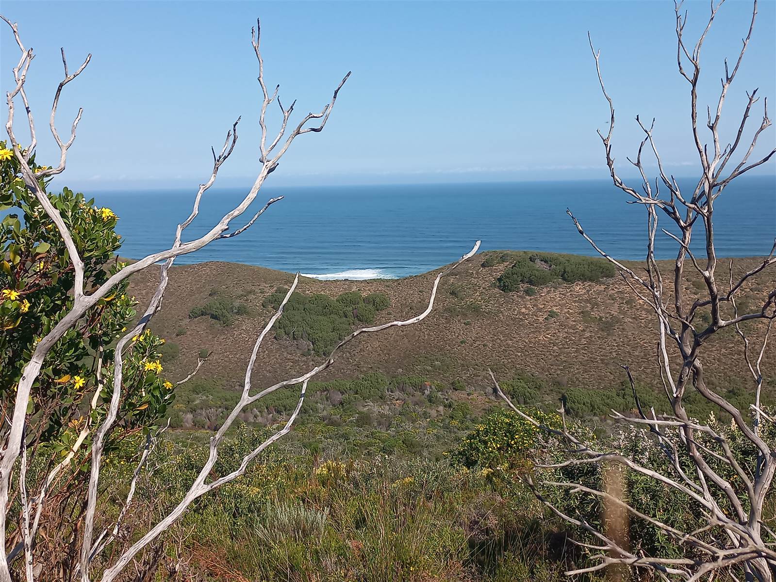 21.2 ha Land available in Brenton on Sea photo number 4