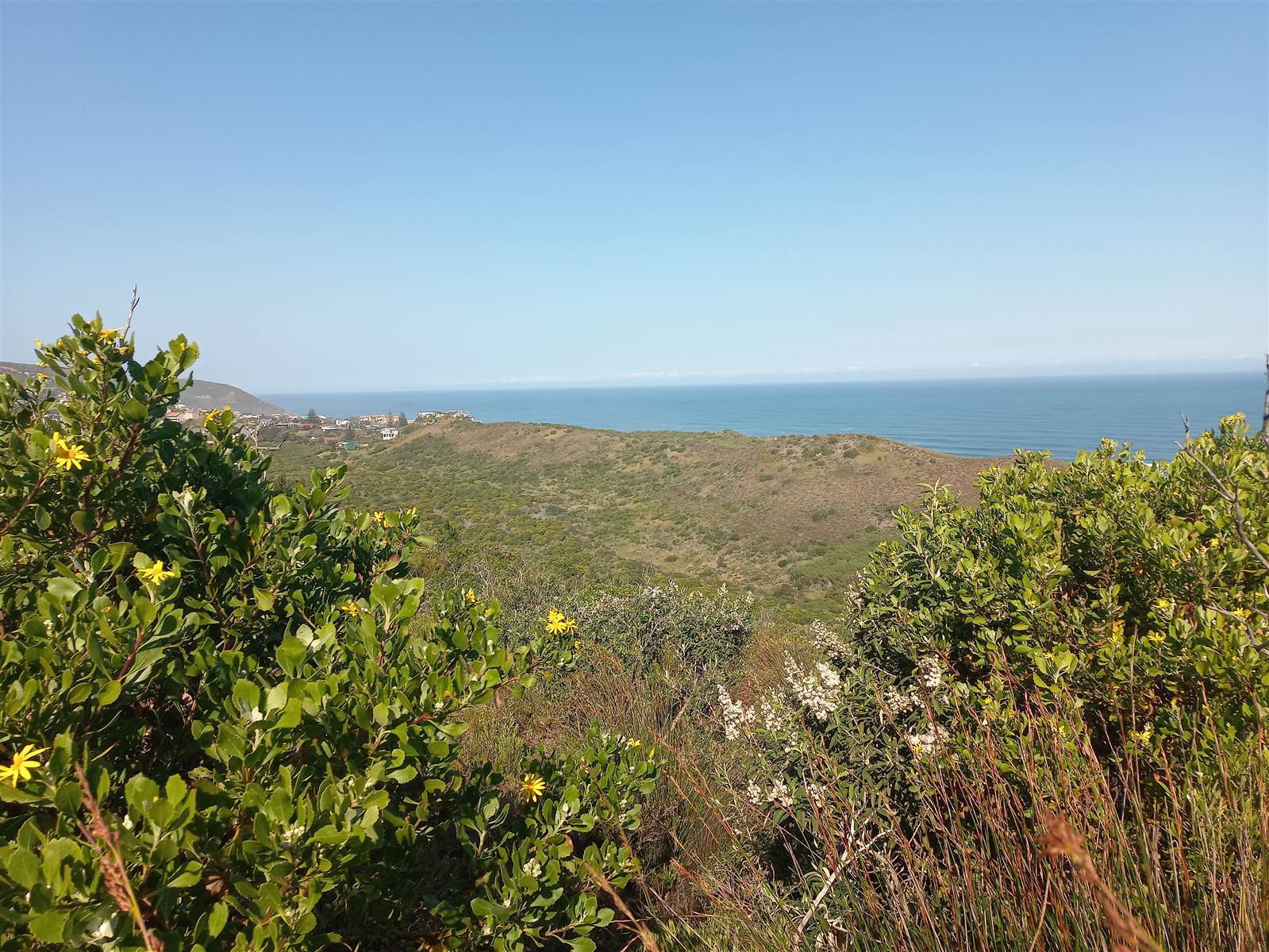 21.2 ha Land available in Brenton on Sea photo number 7