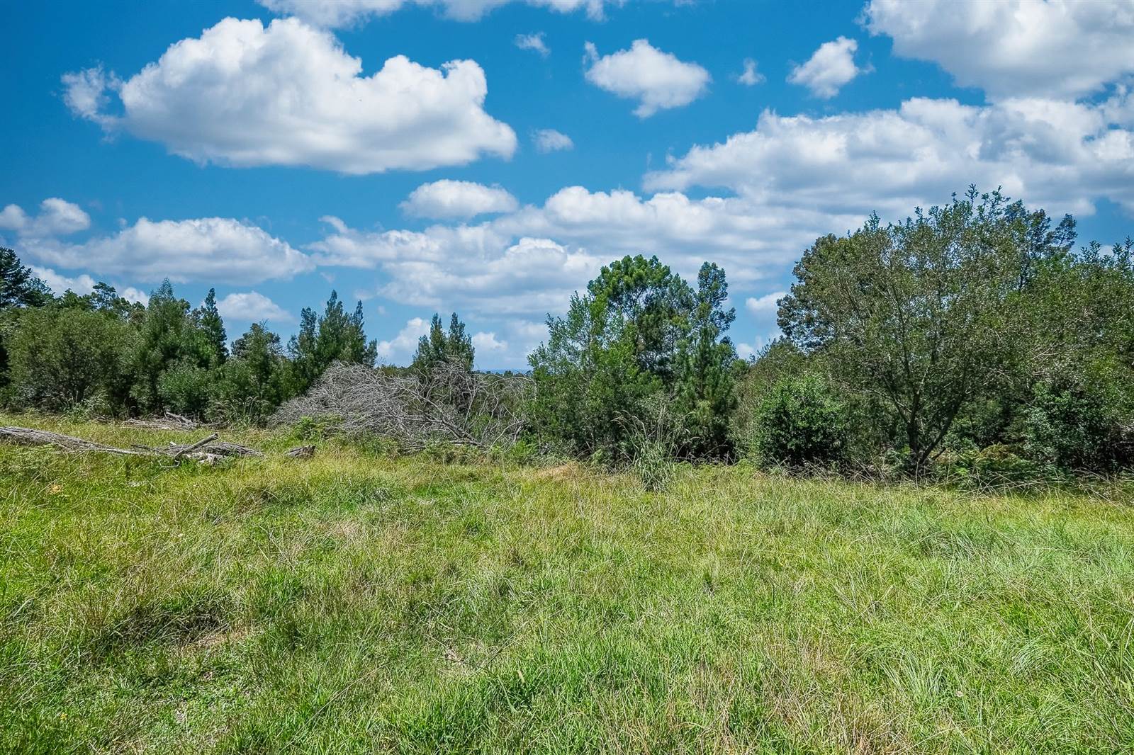 3.2 ha Land available in Wilderness Heights photo number 19