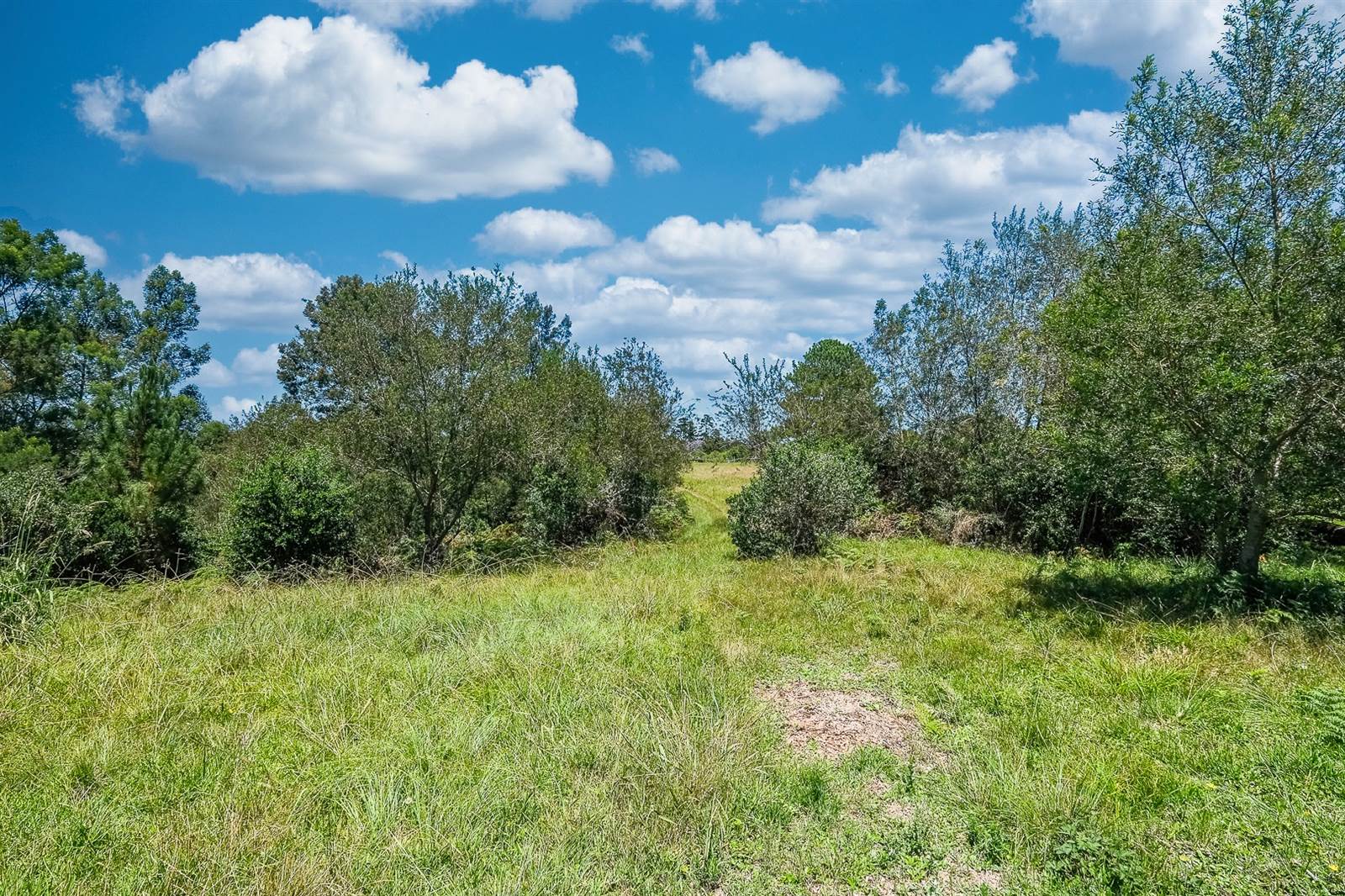 3.2 ha Land available in Wilderness Heights photo number 20
