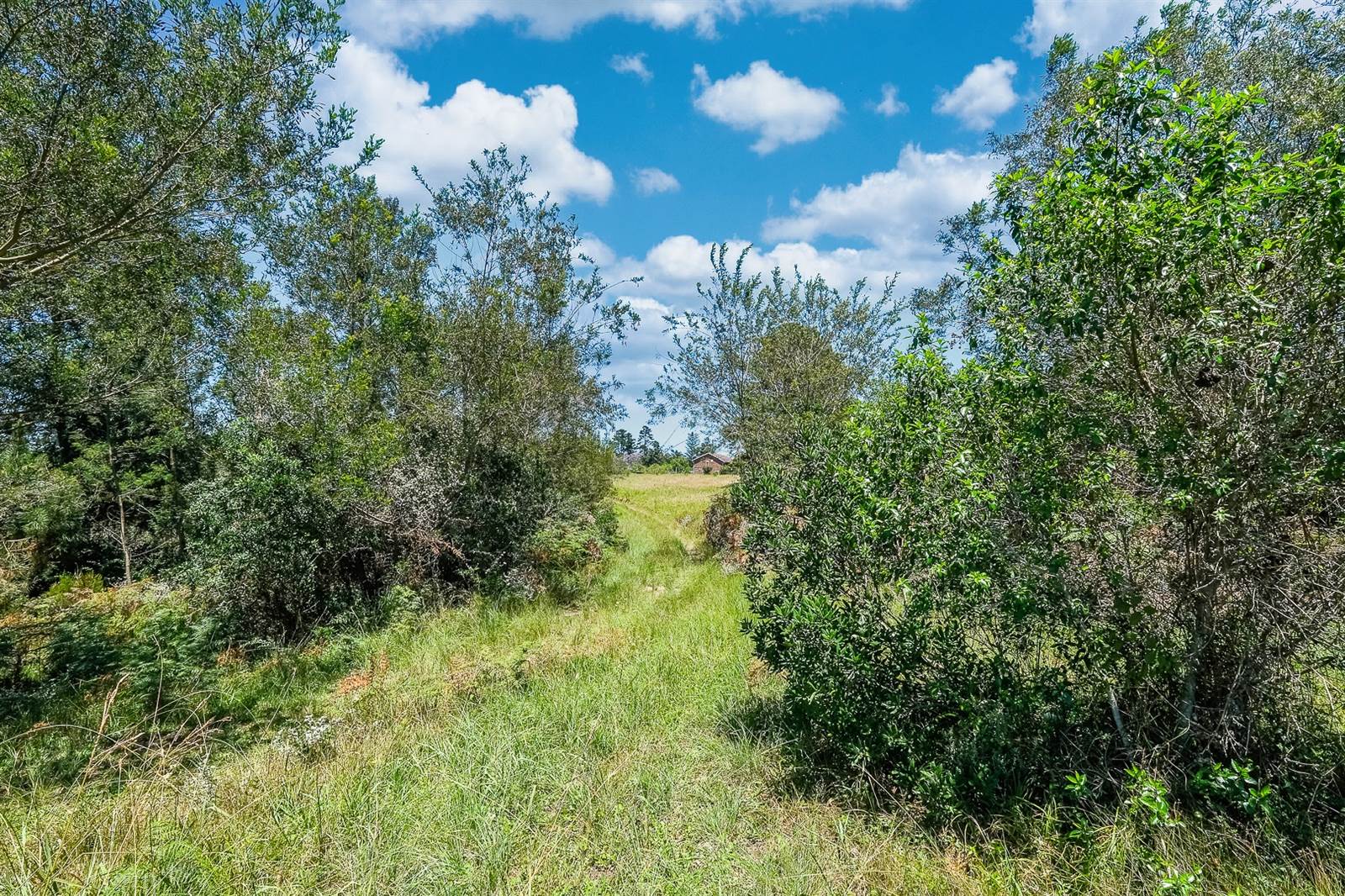 3.2 ha Land available in Wilderness Heights photo number 22