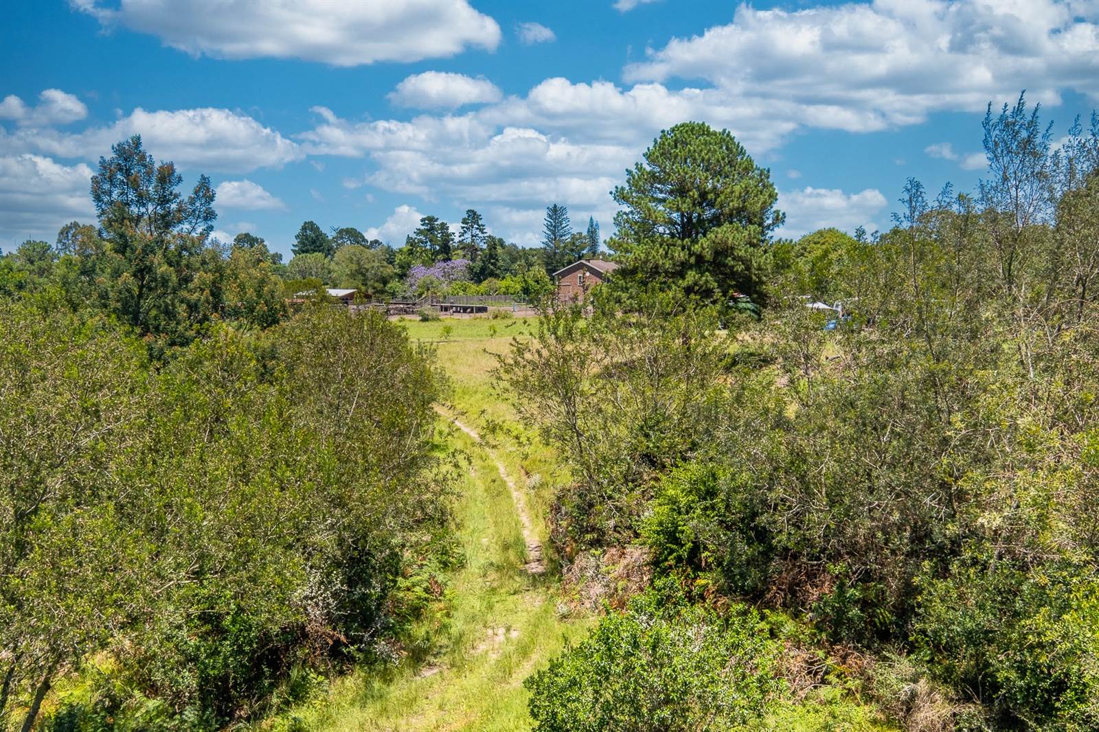 3.2 ha Land available in Wilderness Heights photo number 10