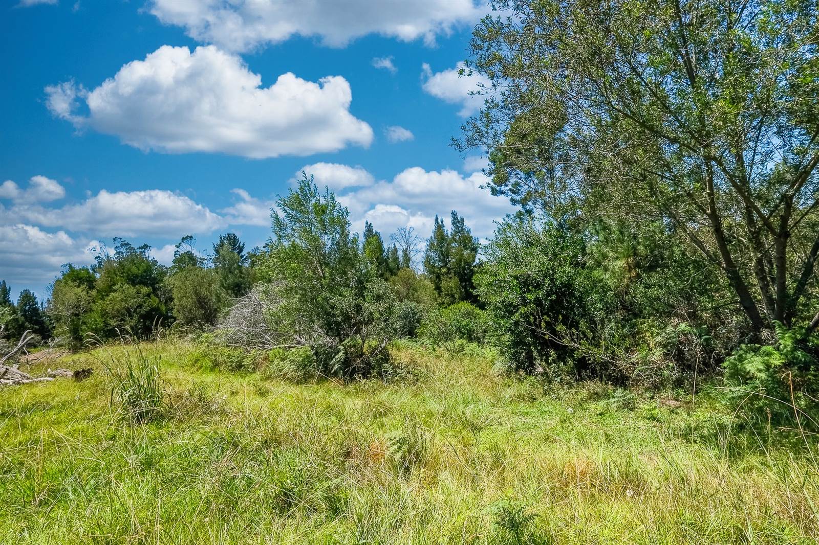3.2 ha Land available in Wilderness Heights photo number 23