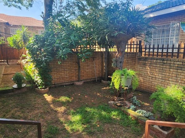 3 Bedroom House 3 Bedroom House