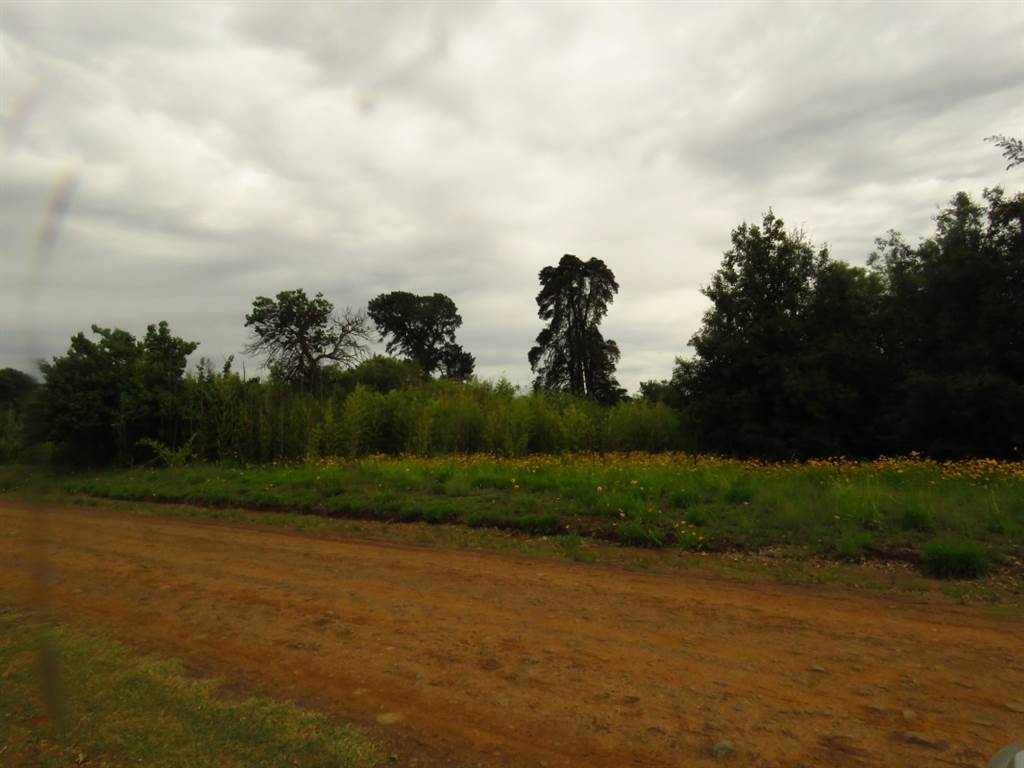 751 m² Land available in Fouriesburg photo number 6