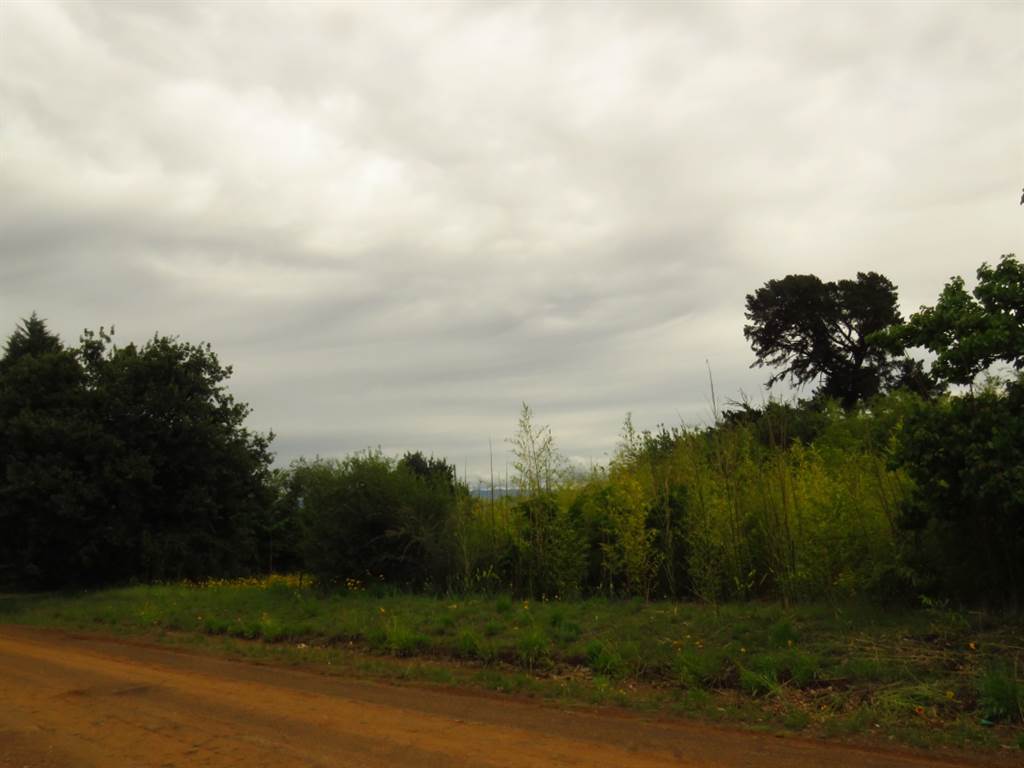 751 m² Land available in Fouriesburg photo number 3