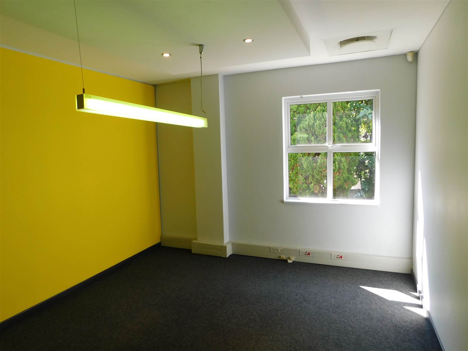 725  m² Commercial space in Ferndale photo number 8