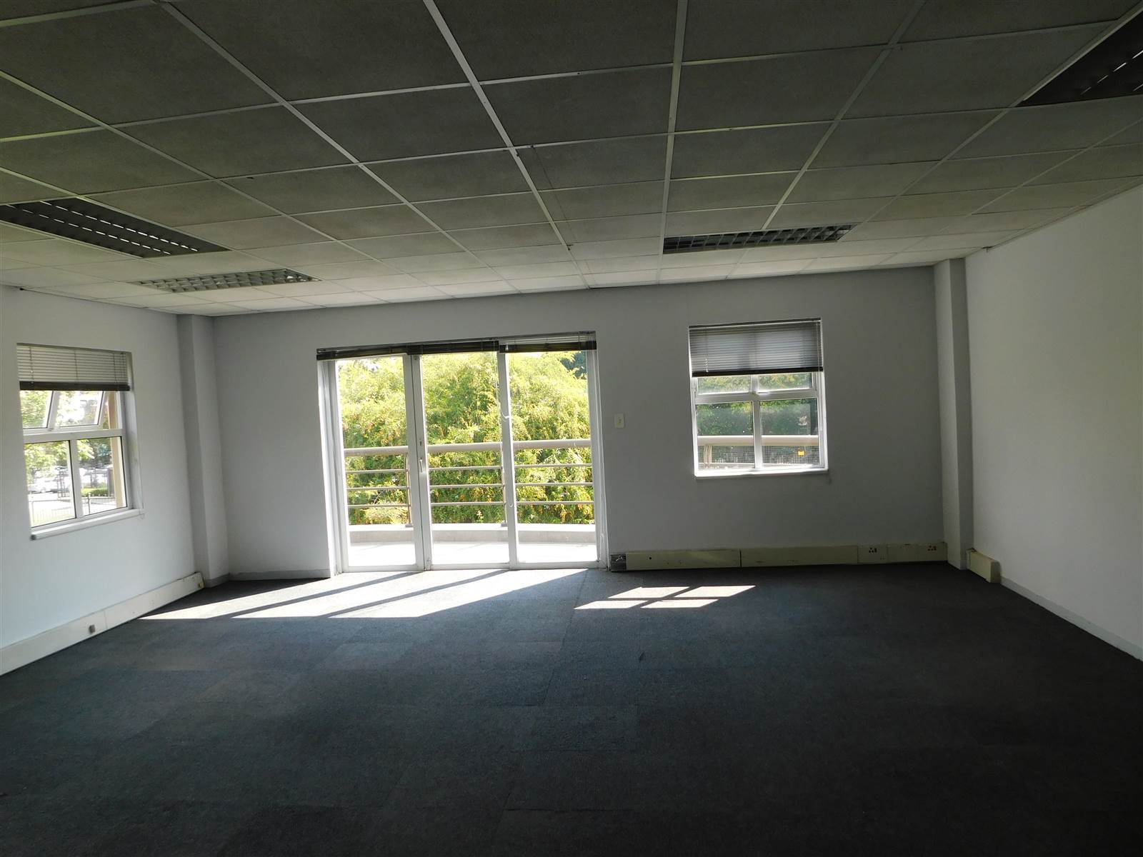 725  m² Commercial space in Ferndale photo number 6