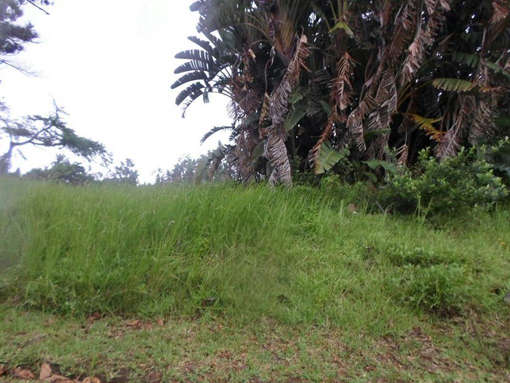 1500 m² Land available in Bazley Beach photo number 3