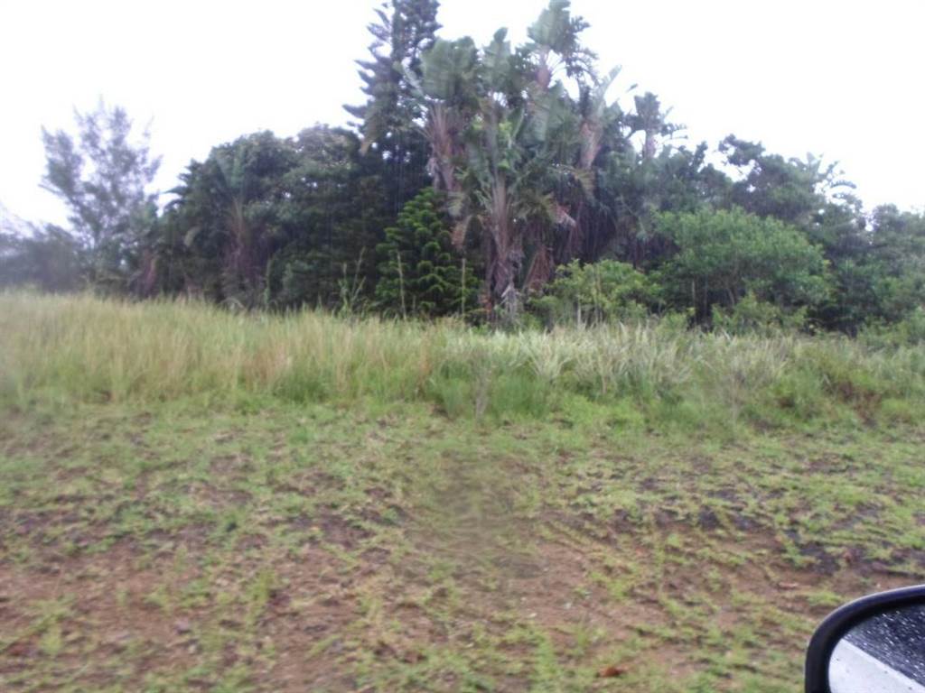1500 m² Land available in Bazley Beach photo number 4
