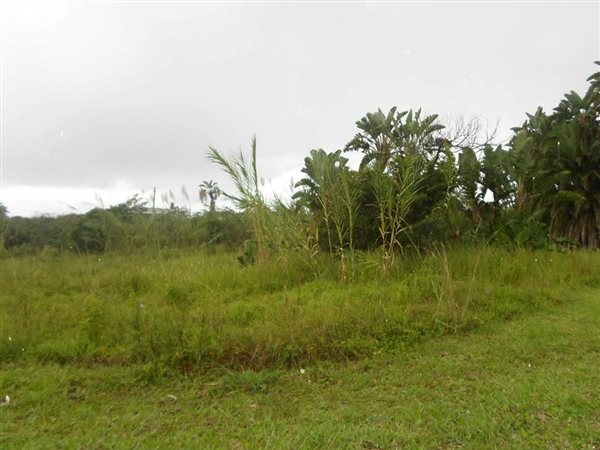 1500 m² Land available in Bazley Beach