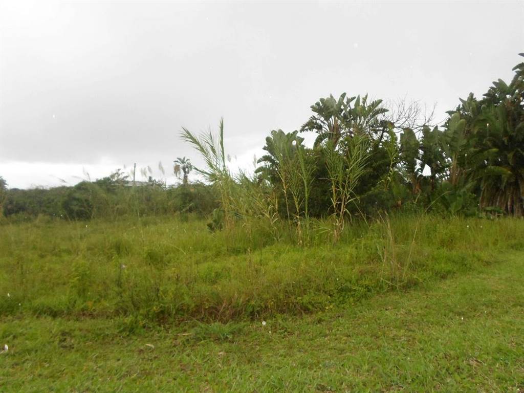 1500 m² Land available in Bazley Beach photo number 1