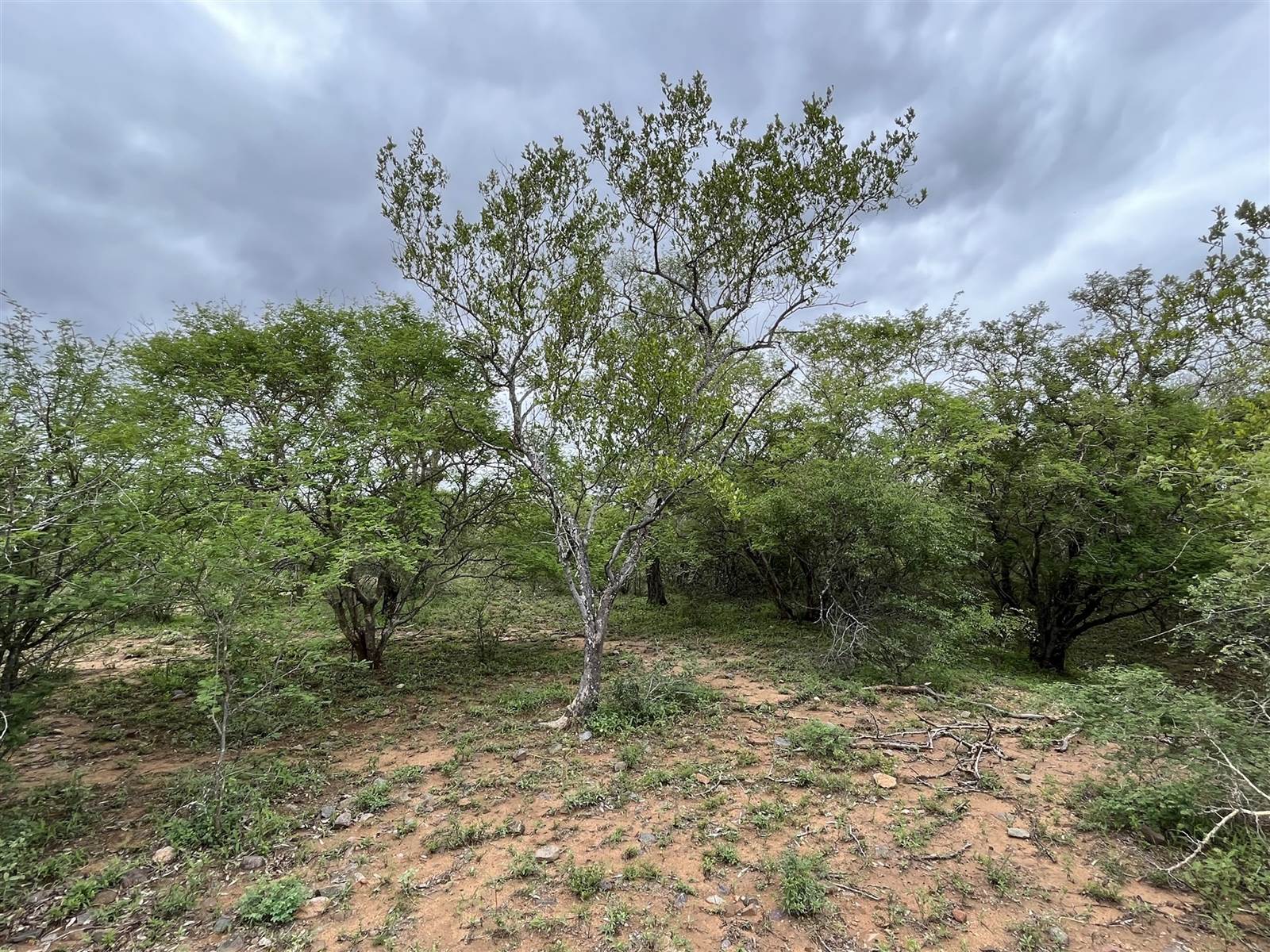 3374 m² Land available in Blyde Wildlife Estate photo number 8
