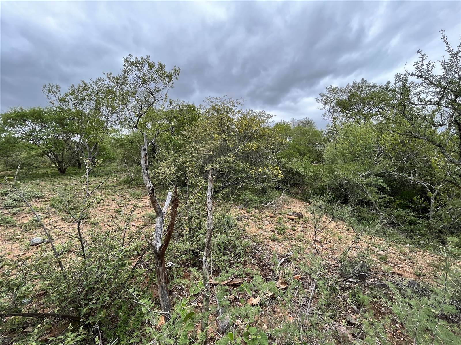 3374 m² Land available in Blyde Wildlife Estate photo number 11