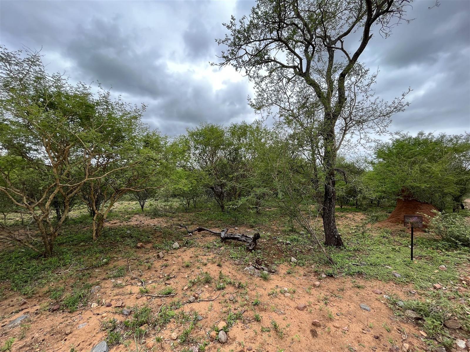 3374 m² Land available in Blyde Wildlife Estate photo number 1