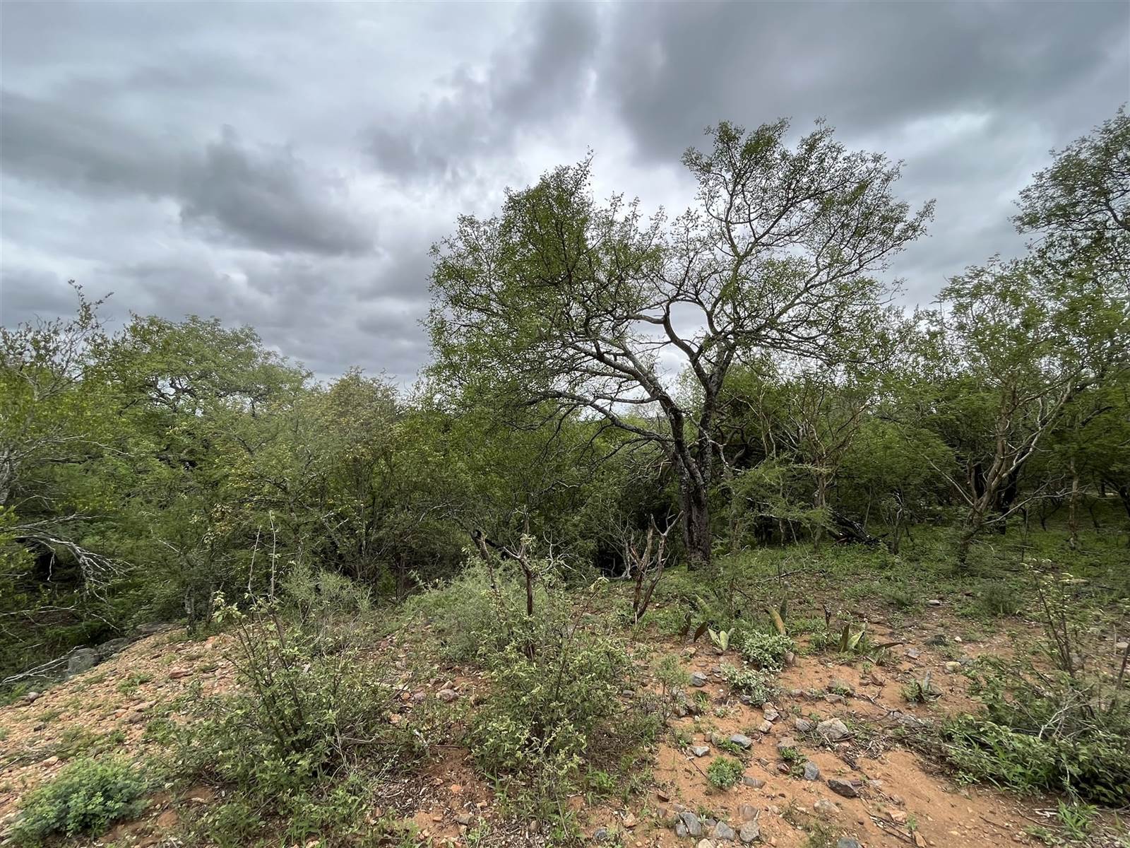 3374 m² Land available in Blyde Wildlife Estate photo number 7