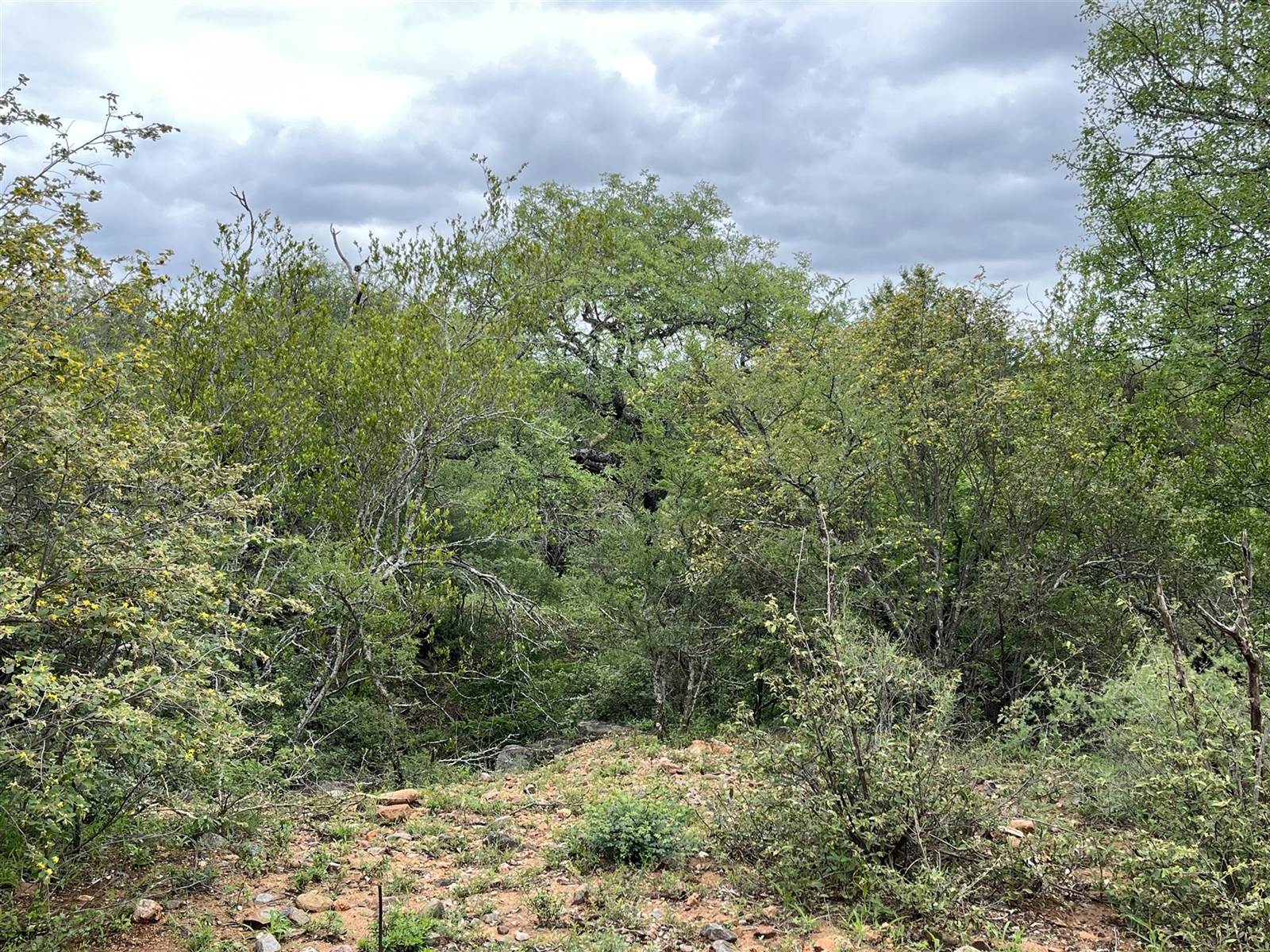 3374 m² Land available in Blyde Wildlife Estate photo number 5