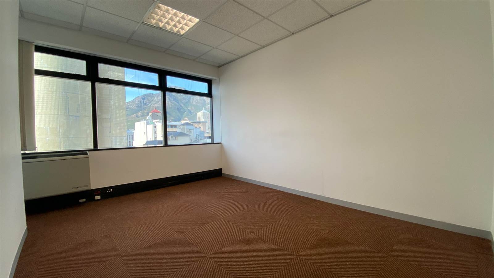 282  m² Commercial space in Cape Town City Centre photo number 3